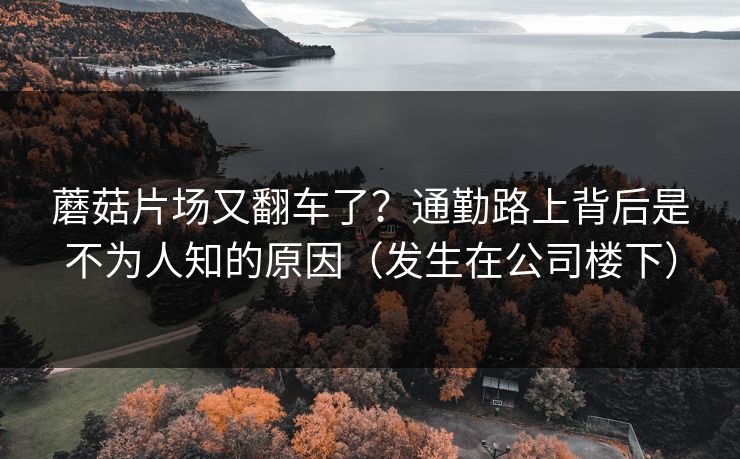 蘑菇片场又翻车了？通勤路上背后是不为人知的原因（发生在公司楼下）