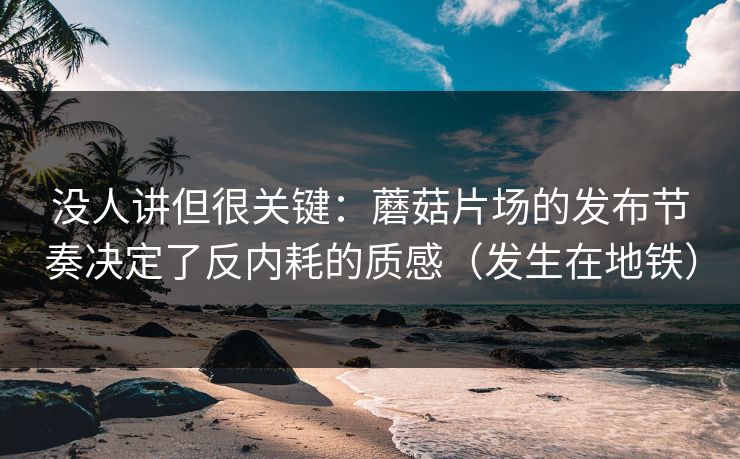 没人讲但很关键：蘑菇片场的发布节奏决定了反内耗的质感（发生在地铁）