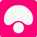 蘑菇视频资源中心